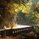 Illustration for article titled PNW Oppo: Pumpkin Spiced Chuckanut Run (Updated with Plan)